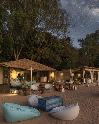 14 Night Ultimate Green Safari